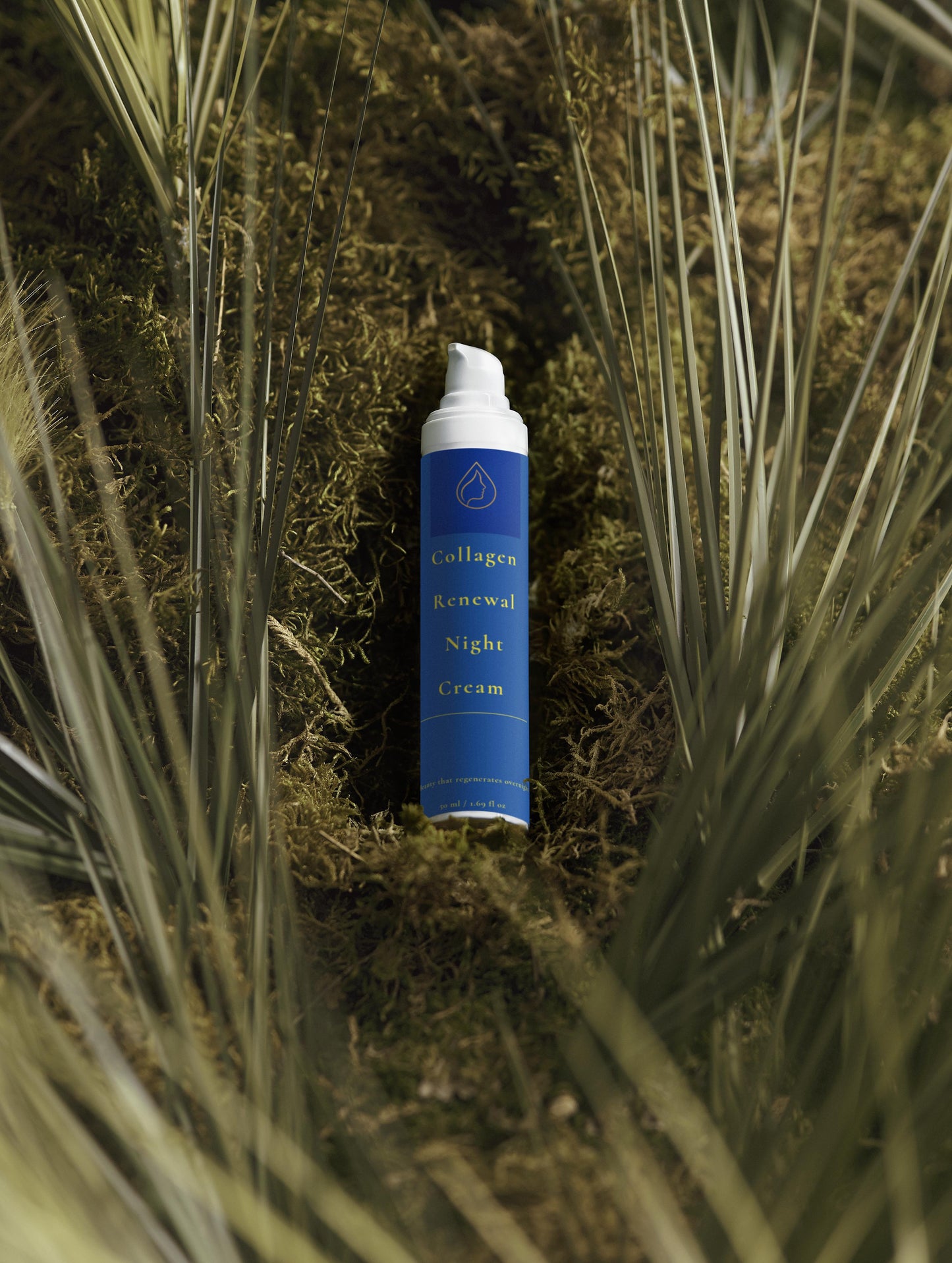 Collagen Renewal Night Cream